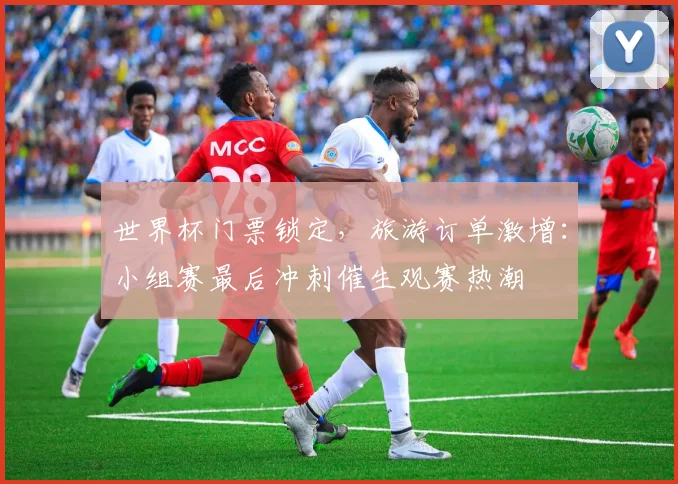 世界杯门票锁定，旅游订单激增：小组赛最后冲刺催生观赛热潮