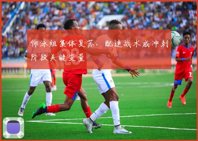 仰泳组集体复苏，配速战术成冲刺阶段关键变量