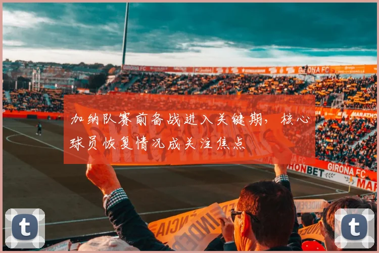加纳队赛前备战进入关键期，核心球员恢复情况成关注焦点